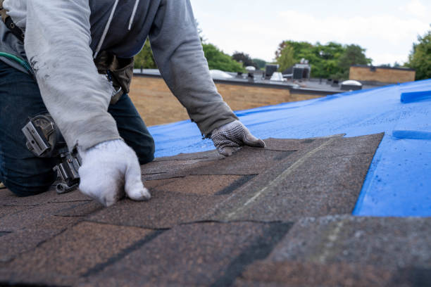 Best Roof Gutter Cleaning  in Tarrant, AL